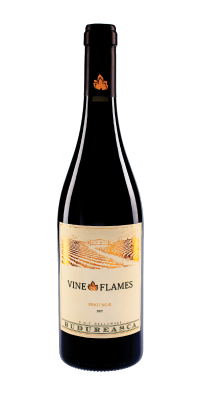 Vine in Flames Pinot Noir